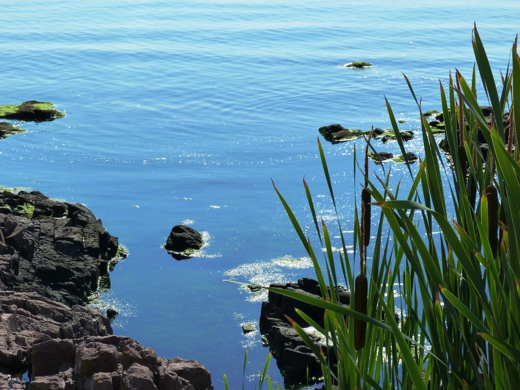 Sea View Apartments Sozopol Bagian luar foto