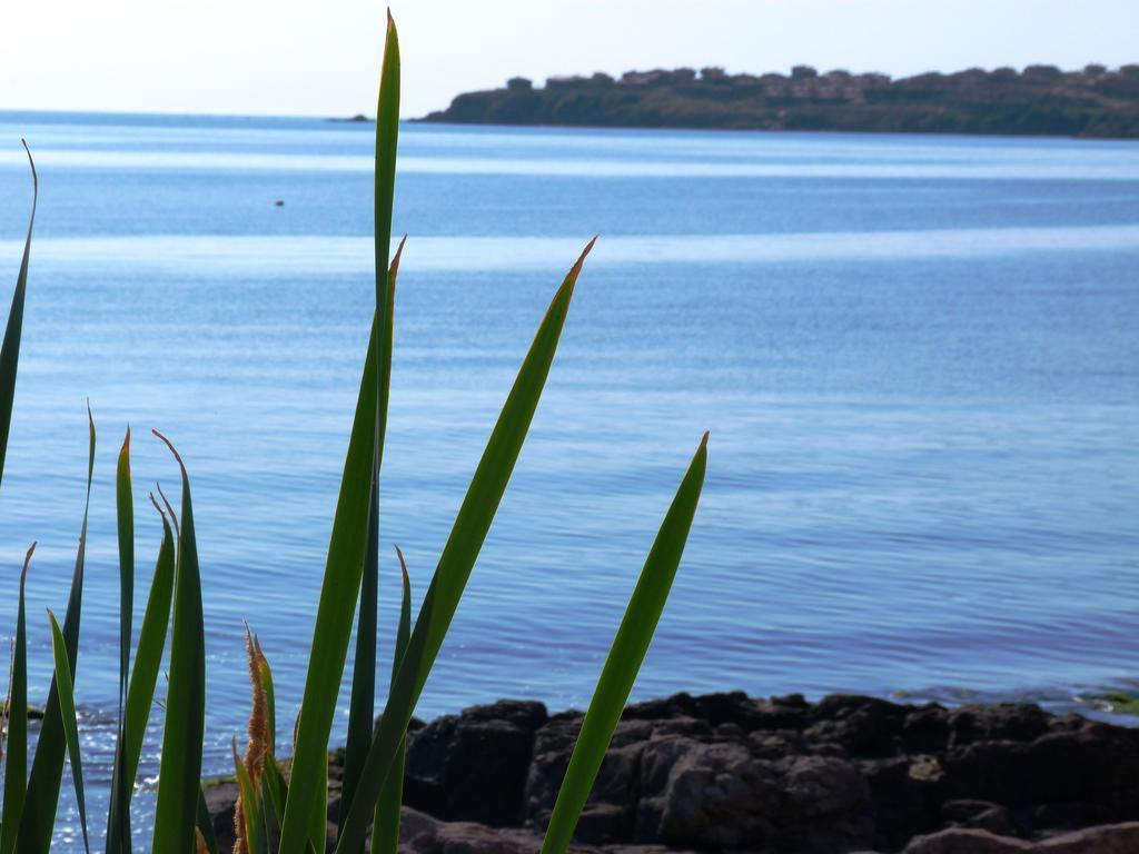 Sea View Apartments Sozopol Ruang foto